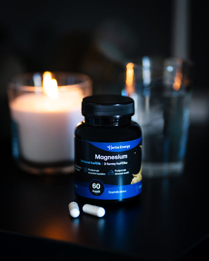 Magnesium VEČERNÍ HOŘČÍK (3 formy hořčíku)