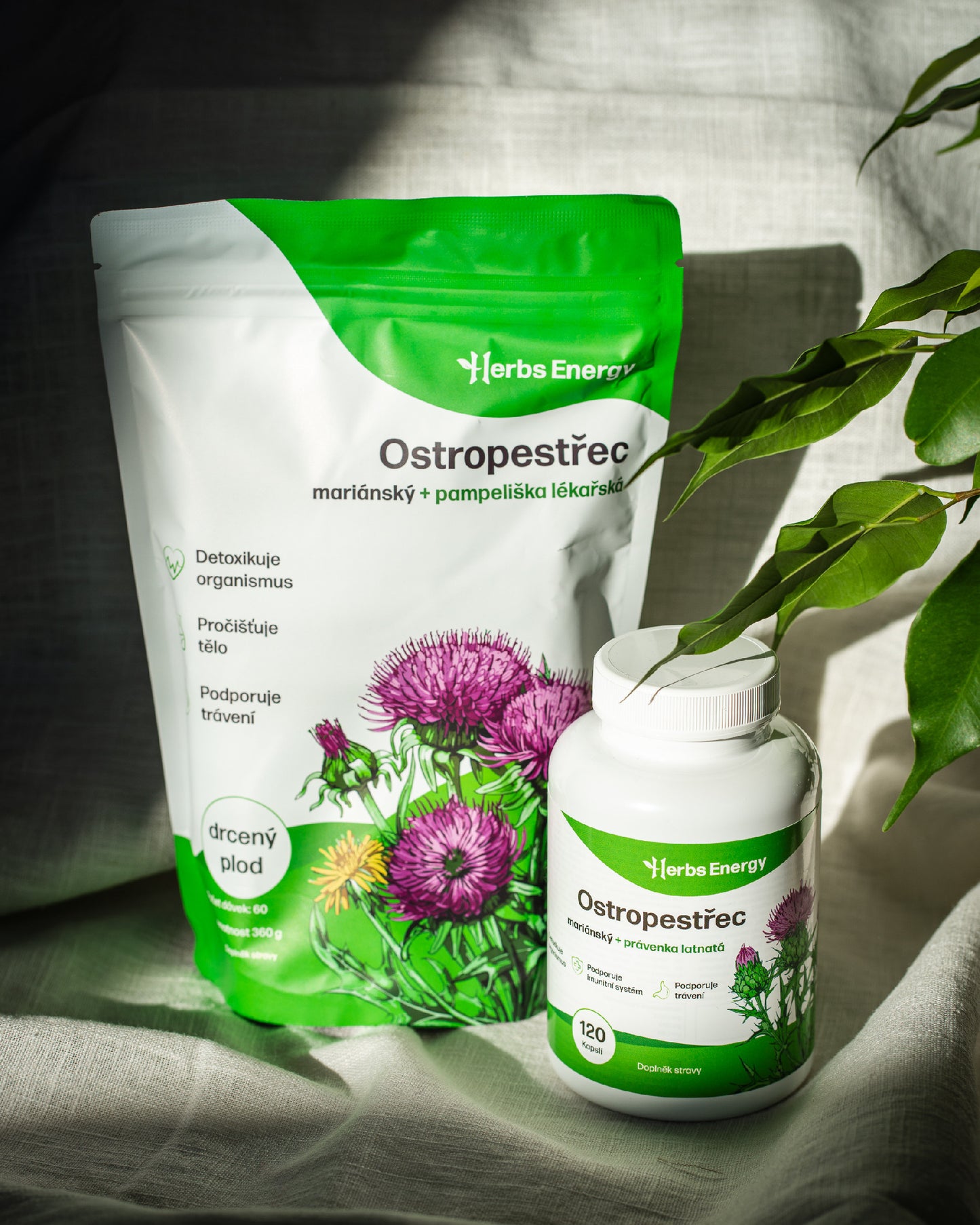 Ostropestřec mariánský (čerstvě drcený plod)