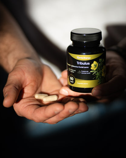 Kotvičník (Tribulus) - extrakt z rostliny 650 mg
